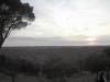panoramica pardo.JPG